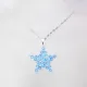 Star - Delphinus-Silver Chain - 1